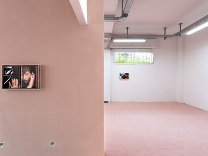 Yves Scherer. The last of English roses, exibition view
