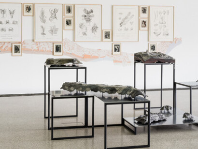 Natural Histories, Exhibition view. Courtesy of Mumok 
