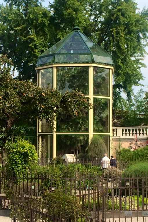 La serra contenente la Palma di Goethe all'Orto botanico di Padova oggi