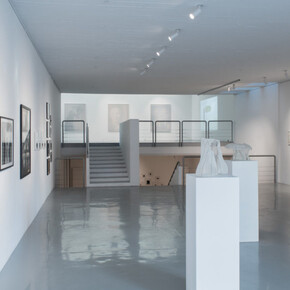 FEMININE II. Courtesy of Priska Pasquer