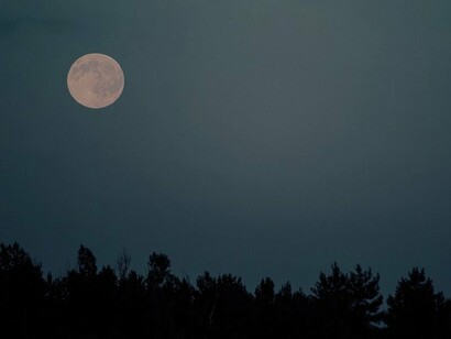 Uomo che ami parlare molto: ascolta e diventerai simile al saggio. L’inizio della saggezza è il silenzio
