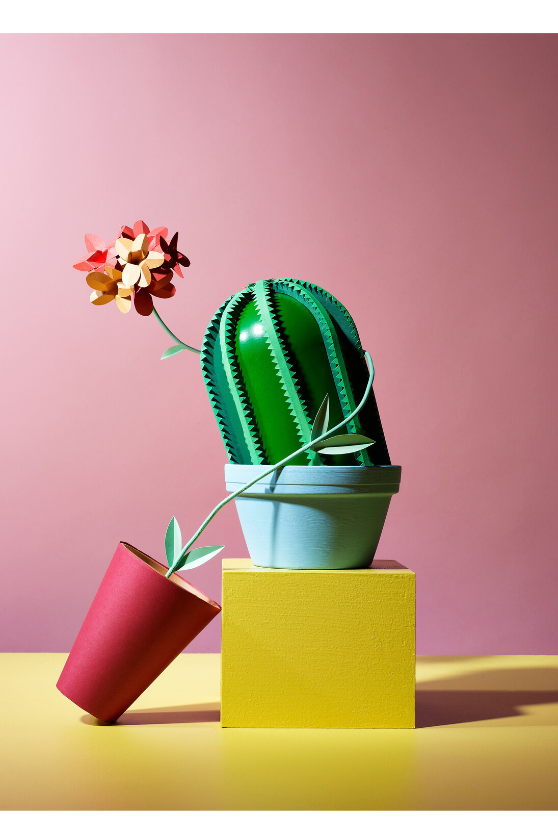 Cactus © Hattie Newman