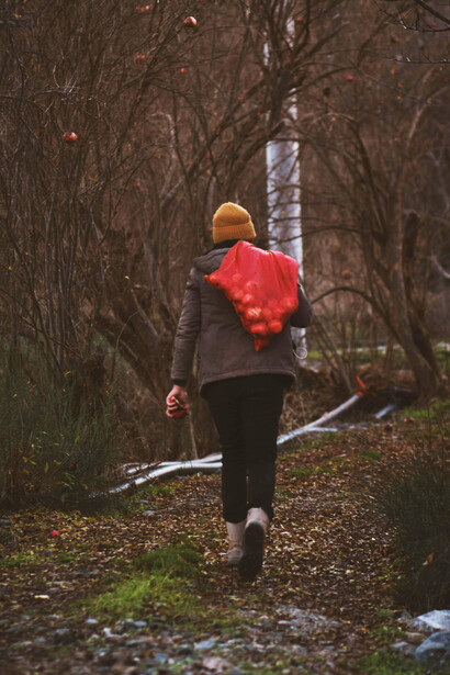 La certeza del camino depende de la claridad de nuestros objetivos y la conexión con principios universales