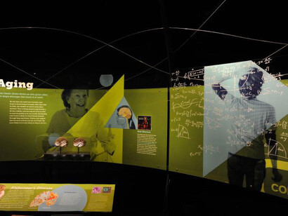 Brain: The Inside Story. Courtesy of Canadian Museum of Nature