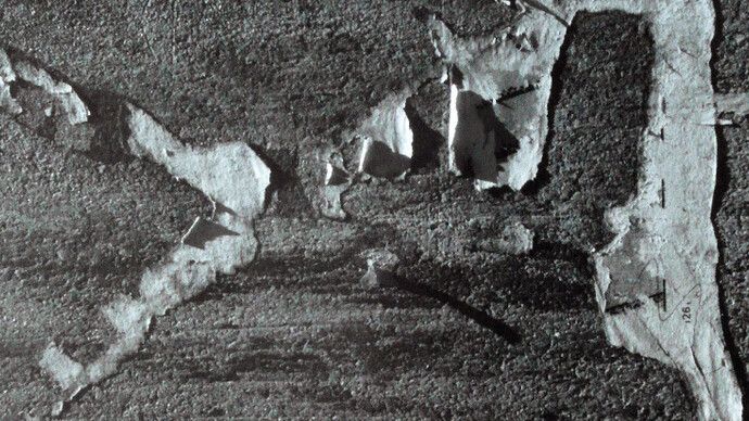 Aaron Siskind. Courtesy of Galerie Julian Sander 