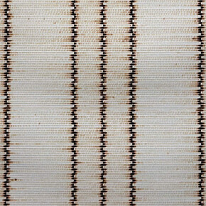 Ankush Safaya, Untitled (detail), 20025. Courtesy of Sakshi Gallery
