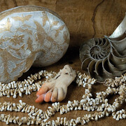 Historical Gallery. Courtesy of Museo di Storia Naturale