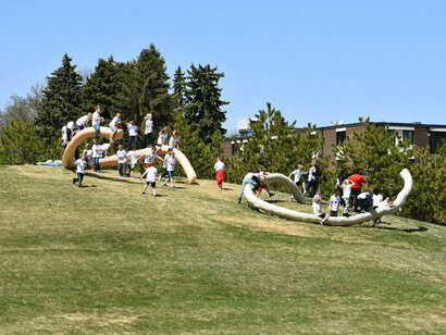 Privileged Points by Nairy Baghramian, Minneapolis Sculpture Garden, 2018
Photo by Paul Schmelzer for Walker Art Center, Minneapolis
