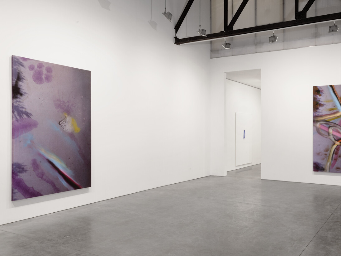 Installation View: Enigmas: Martin Barré, David Ostrowski, Julian Schnabel, Reena Spaulings, Based on a novel by Alison Gingeras, March 6 - April 25, 2015, Andrea Rosen Gallery, New York
