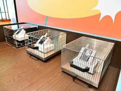 Everyday science, exhibition view. Courtesy of Science Centre