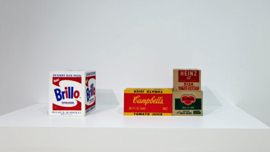 Some Aesthetic Decisions, Exhibition view. Courtesy of NSU Art Museum