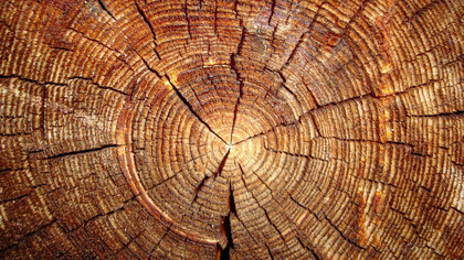 Loggia Legno