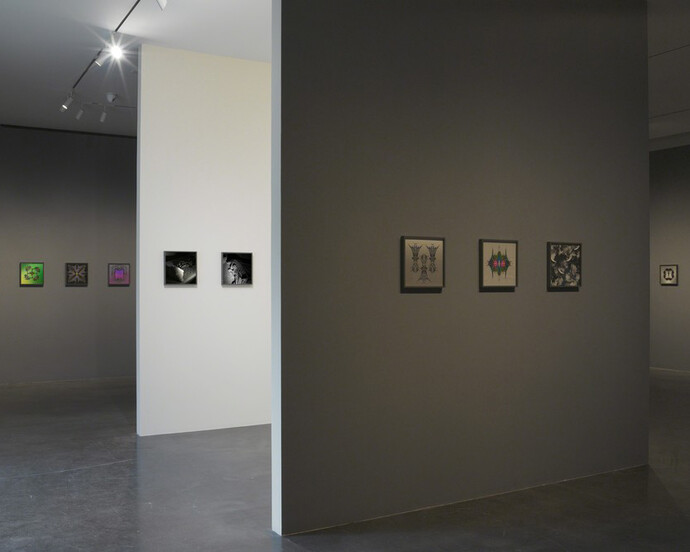Lucas Samaras, Exhibition view. Courtesy of Pace Gallery