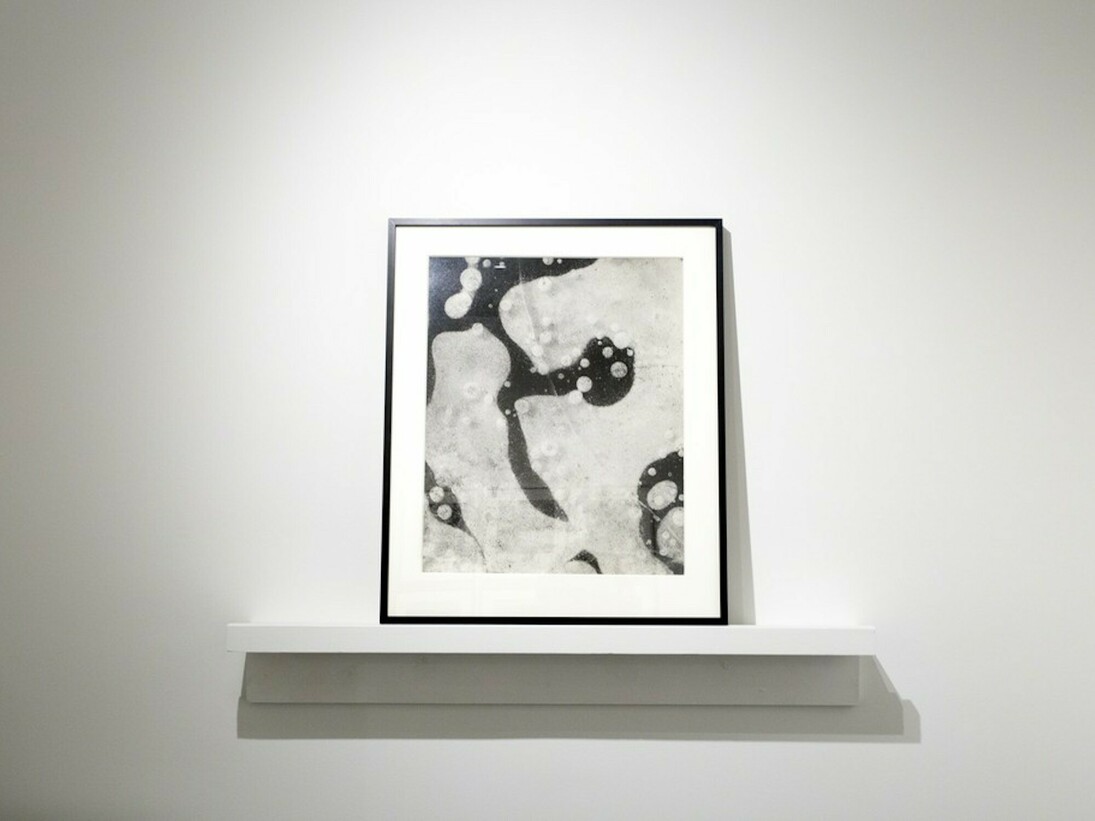 Monochrome, Exhibition view. Courtesy of Bruce Silverstein Gallery 