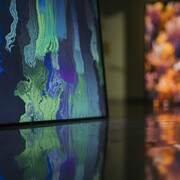 Daniel Canogar. Courtesy of Mark Moore Gallery