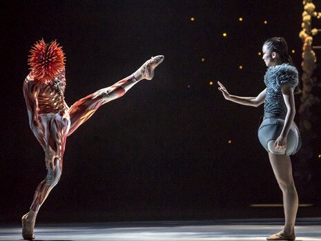 Lo Schiaccianoci, ph Gregory Batardon