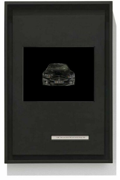 Taryn Simon, 2008 Aston Martin DBS (with continuity damage), 2008”, Birds of the West Indies, 2013 © Taryn Simon. Courtesy of the artist and Gagosian Gallery