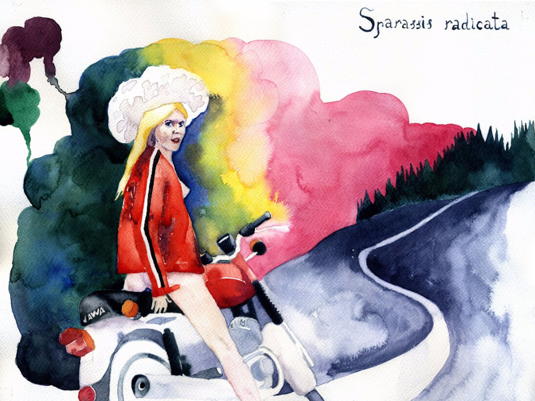 Nikita Shalenny, The Girl on the Scooter , 2016. Courtesy of Sabsay