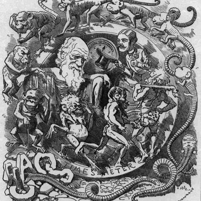 Teorie evoluzioniste di stampo darwiniano 