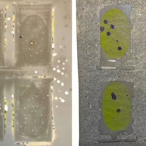 Dominique De Beir, Album 3 (détail), 2026. Avec l'aimable autorisation de la galerie Hopstreet