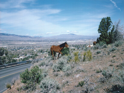 Charlotte Dumas, Geiger Grade Road Reno NV, from the series The Widest Prairies, 2013 © Charlotte Dumas, Courtesy of the artist