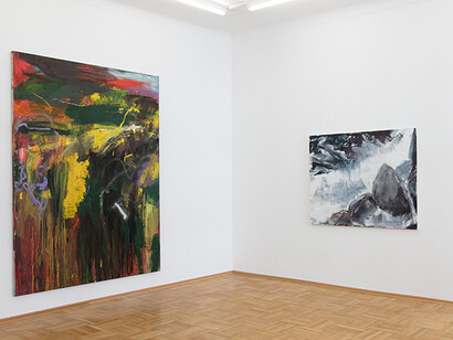 Herbert Brandl. Courtesy of Galerie nächst St. Stephan