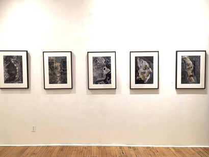 Portraits of Point Lobos. Courtesy of Viridian Artists