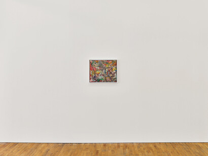 Lu Ferreira, Estranhas luzes no bosque, exhibition view. Courtesy of Tara Downs