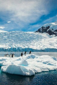 The Antarctic  
