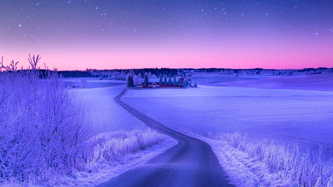 Winter night