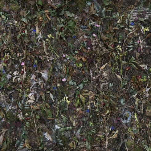 Tanya Marcuse. Courtesy of George Eastman Museum