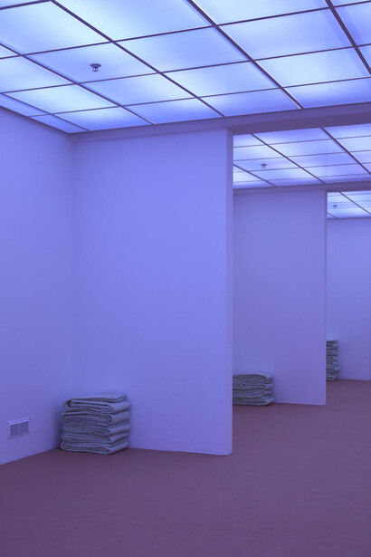 Rebecca Kunz. Courtesy of Kunsthaus Baselland