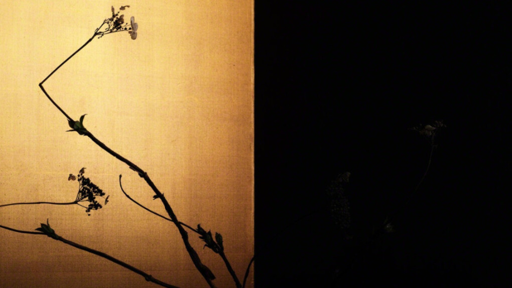 Keiichiro Muramatsu. Courtesy of Galerie marie-robin