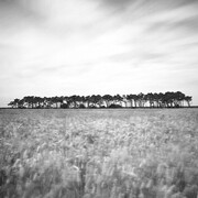 Matteo Sauli, Quando Eravamo Re