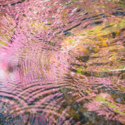 Ogni cambiamento autentico prende forma dentro di noi e si riflette naturalmente negli spazi, nelle relazioni e nelle abitudini quotidiane