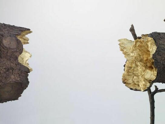 Giuseppe Penone, Detail 2008