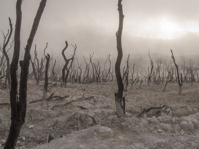 Climate change is one of the most urgent global problems that should be addressed in a timely fashion