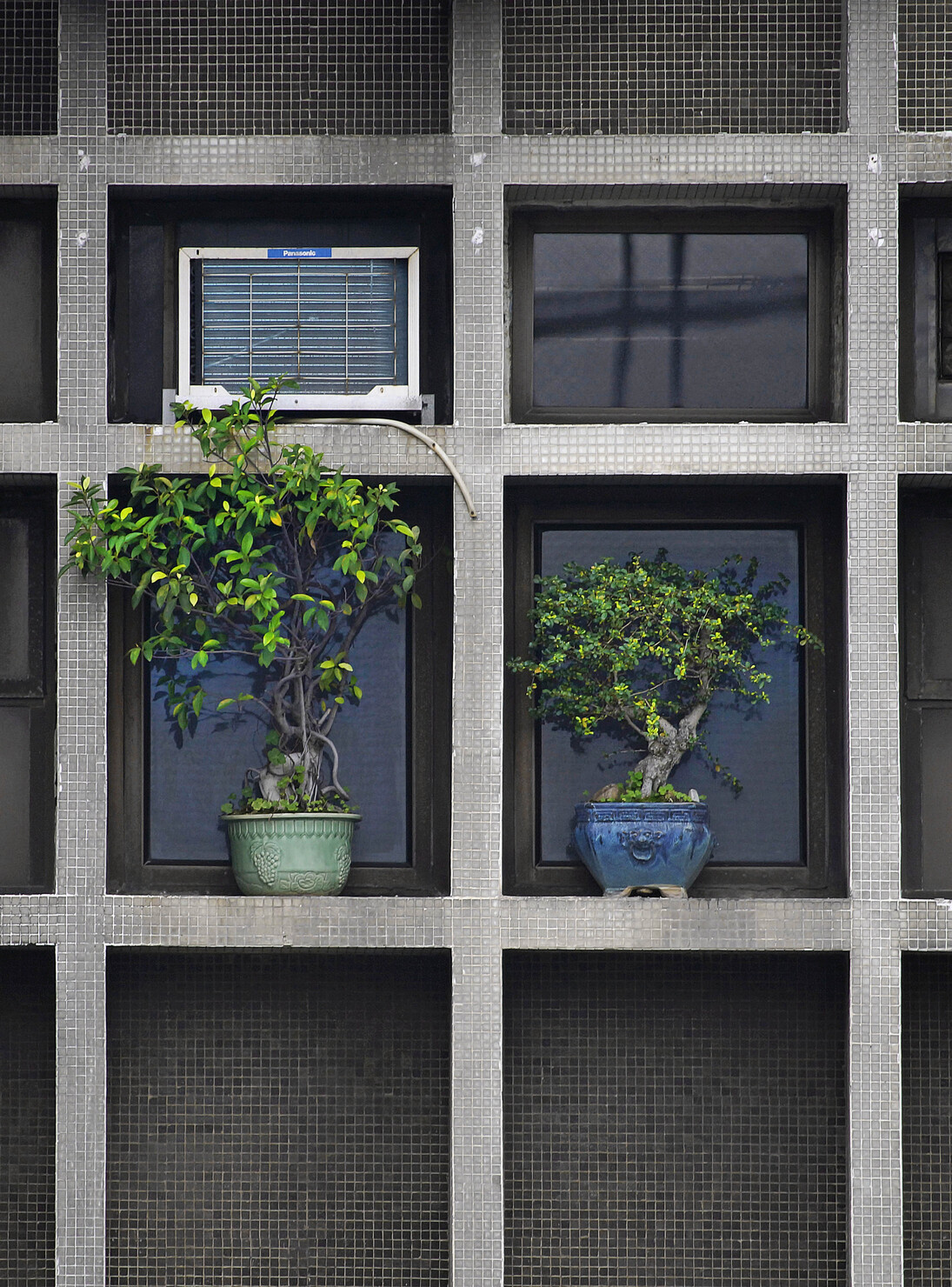 Arrangements (c) Michael Wolf, courtesy of Flowers Gallery