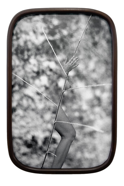Maria Antelman, Self as a plant, 2025. Courtesy of Yancey Richardson Gallery