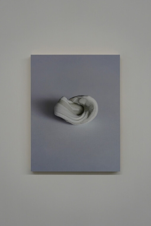 Adaptation. Courtesy of Edouard Malingue Gallery