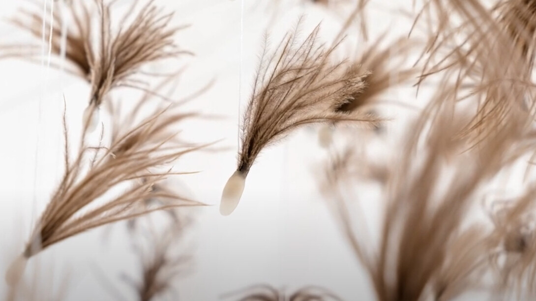 De la música clásica orquestal al arte visual, lejos de ser un abandono, se revela como una extensión natural de su sensibilidad para la armonía y el ritmo, trasladados ahora al lenguaje tridimensional de la escultura y la instalación