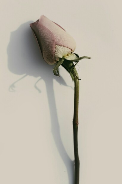 Una lacra que se cobra la vida de miles de mujeres cada año en el país azteca