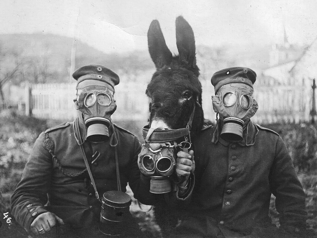 Ginestra Sabina ricorda la prima guerra mondiale e i suoi caduti, Casa della Memoria e della Storia