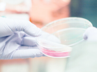 Pharmaceutical research