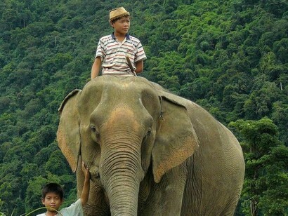 Laos,  regione degli elefanti