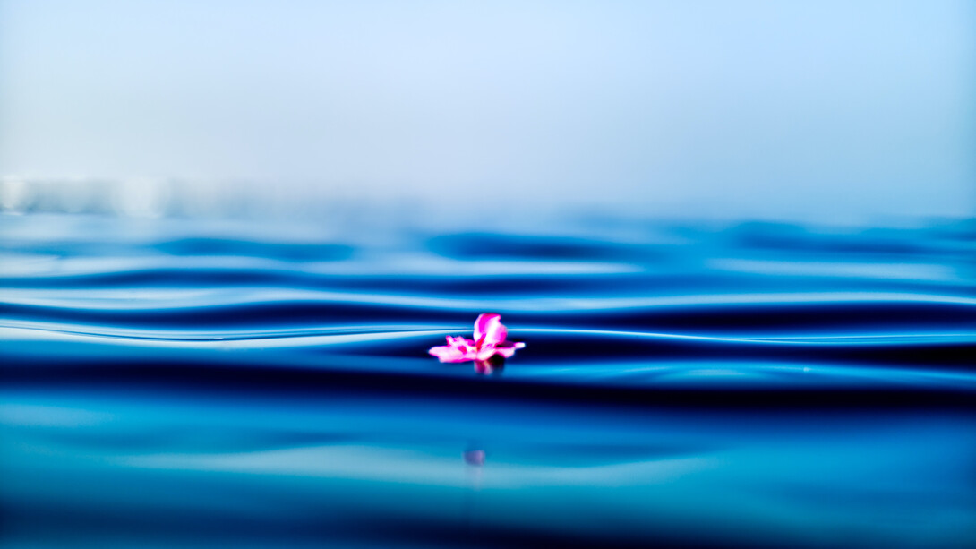 Nota i tuoi sensi. Un altro esercizio semplice e che non richiede nulla di “innovativo” consiste nel provare a elencare due cose che si possono vedere, odorare, assaporare, toccare o ascoltare. Questo ci farà tornare pienamente nel momento presente, ovvero l’unica cosa che davvero ci serve per star bene