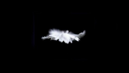Vittorio Gui, o.T. (03), framed photography, 2009, 135 x 195 cm