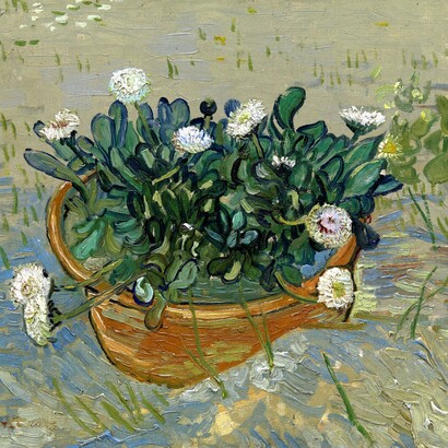Vincent van Gogh (Zundert 1853 – Auvers-sur-Oise 1890). Margherite, Arles (Daisies, Arles), 1888. Olio su tela, 33x42 cm. Virginia Museum of Fine Arts, Collection of Mr. and Mrs. Paul Mellon, 2014.207. Image © Virginia Museum of Fine Arts
