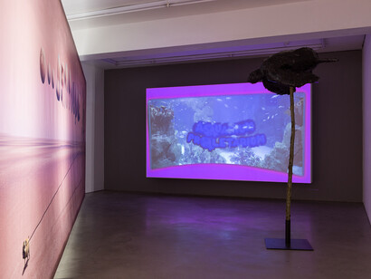 John Russell, Aquarium Proletarium, 2014,
installation view, Motinternational, London, courtesy of the artist and Motinternational London & Brussels