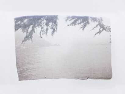 Giulia Cacciuttolo, A safe view from a tamed world, 2020